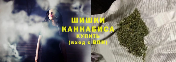 мдпв Рославль
