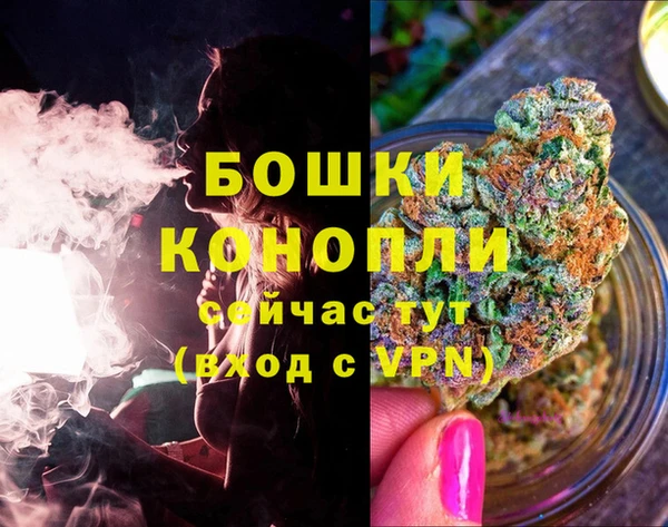 мдпв Рославль