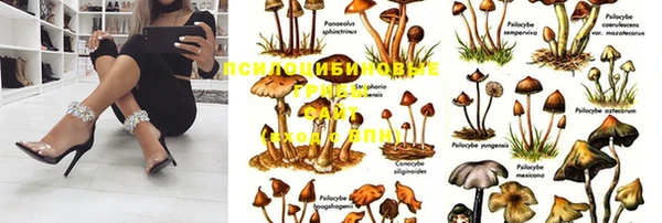 крисы Волоколамск